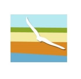 Volunteer Mentor Befrienders