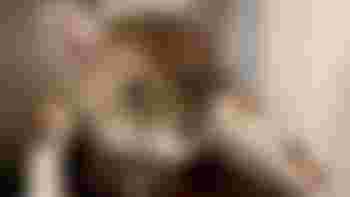 Volunteer Trainee Animal Care Assistant