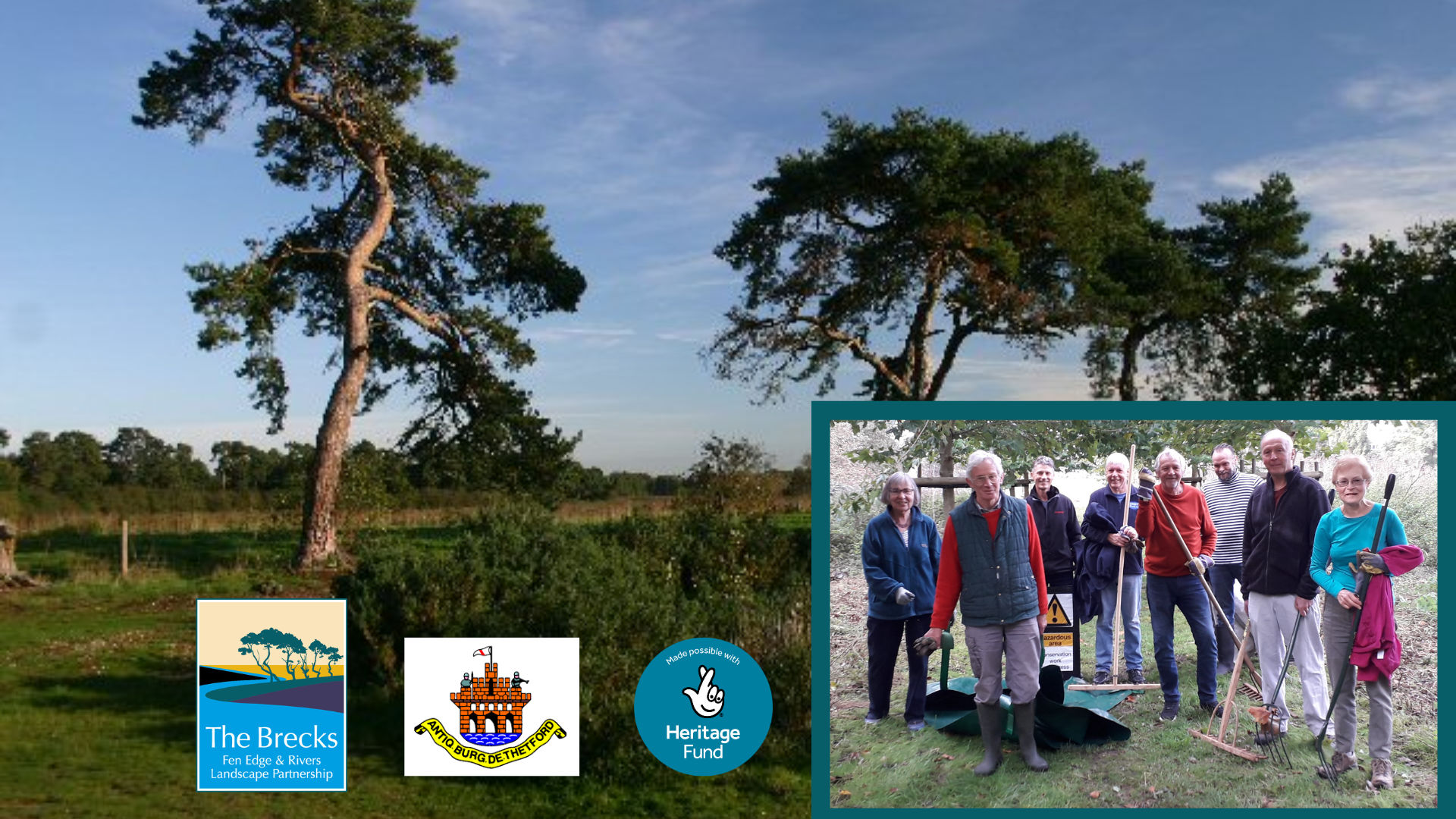 Volunteer Day: Ragwort Removal