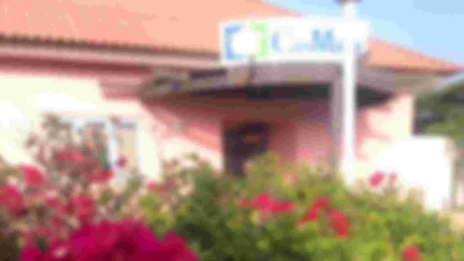 Handyman or handywoman (garden and odd jobs) 