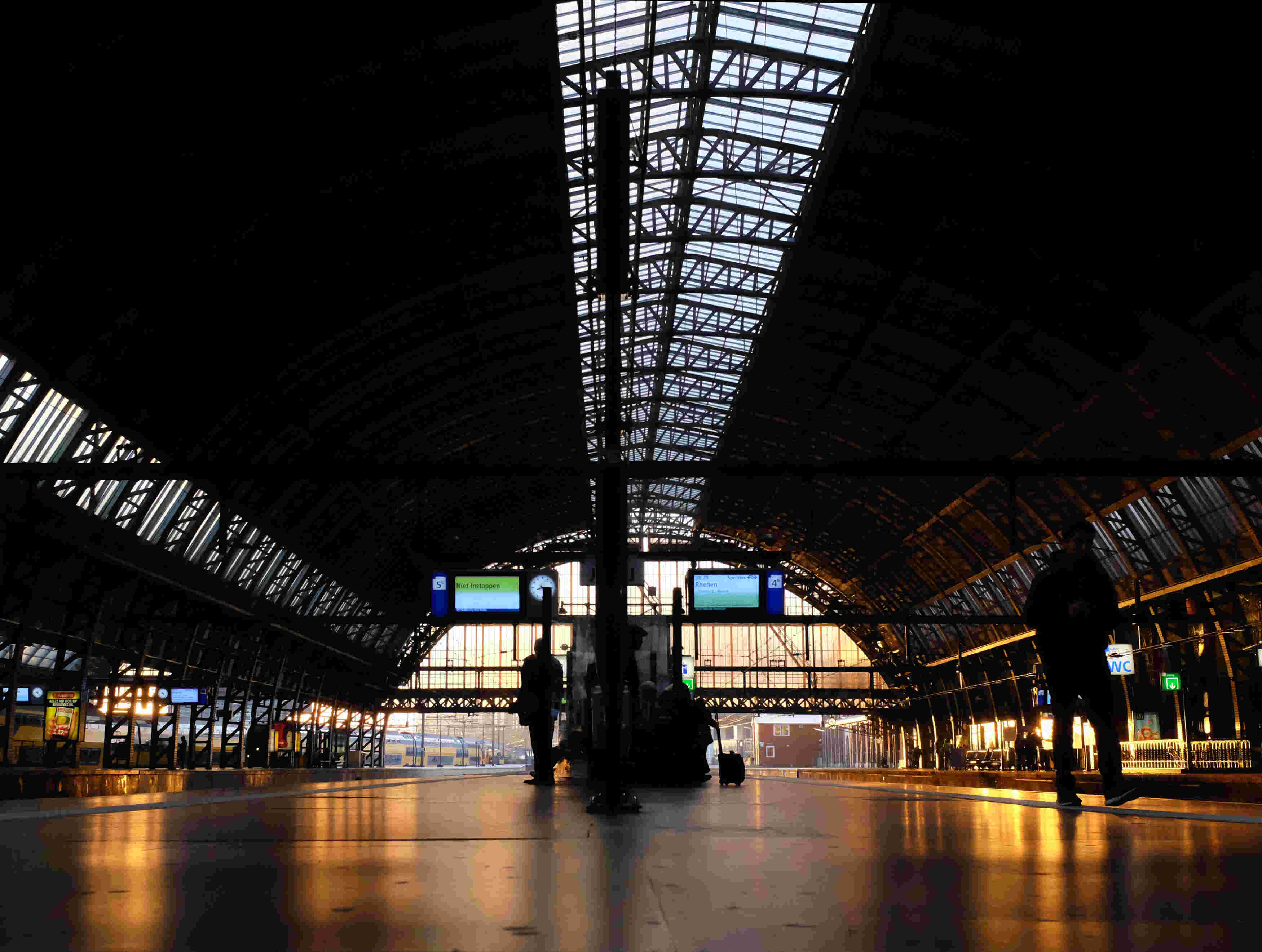 Regional Public Transport Expert