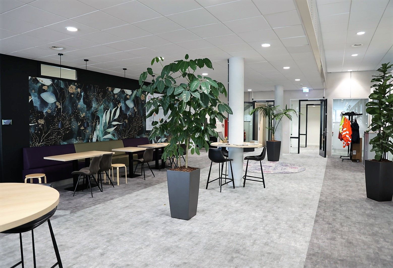 Groepstaalcoach | Salut (Taalhuis)