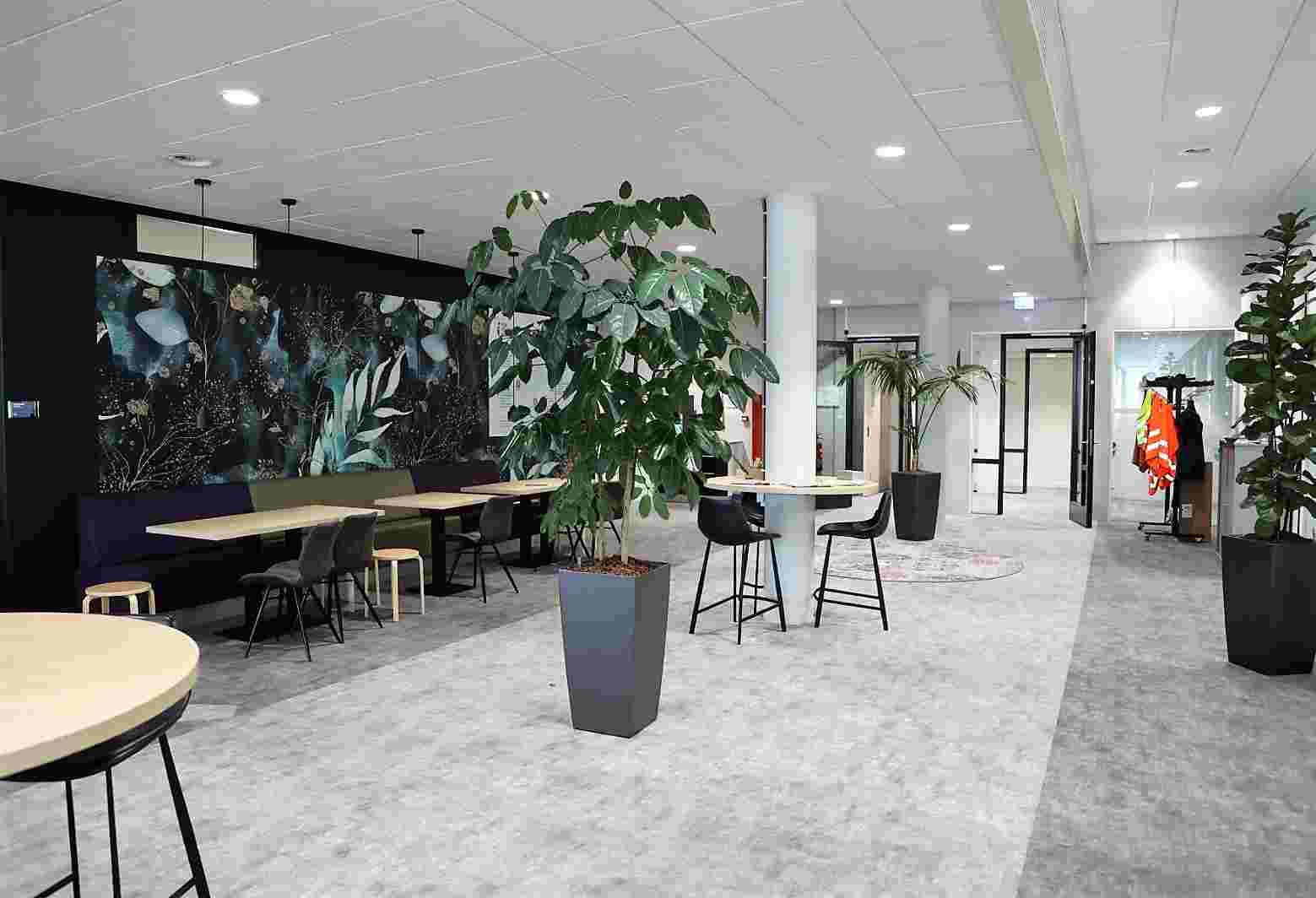 Groepstaalcoach | Salut (Taalhuis)