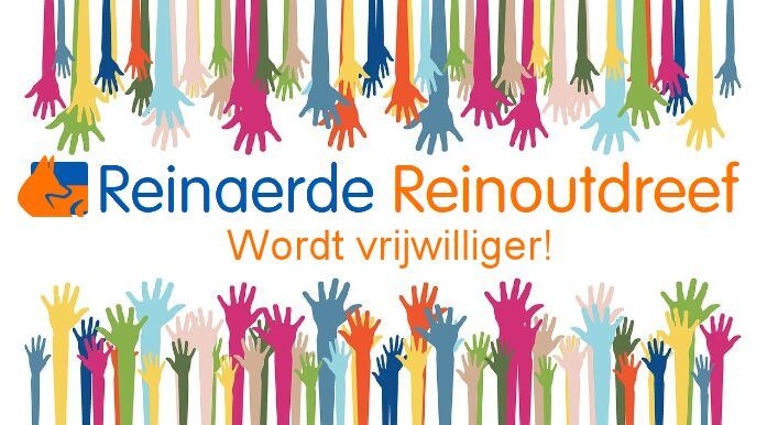 Activiteiten vrijwilliger