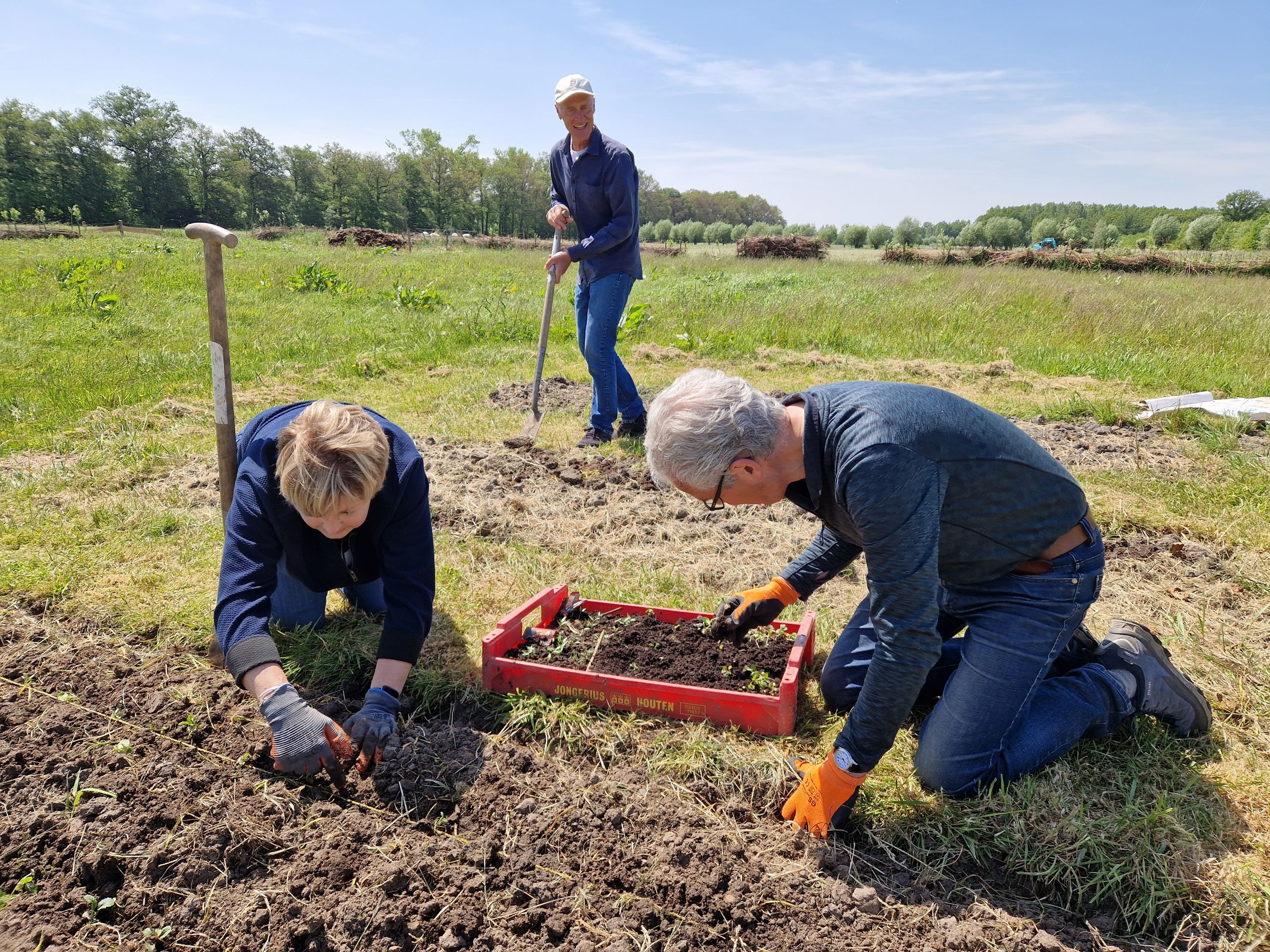 Meewerken op Natuurplaats Binnenbos