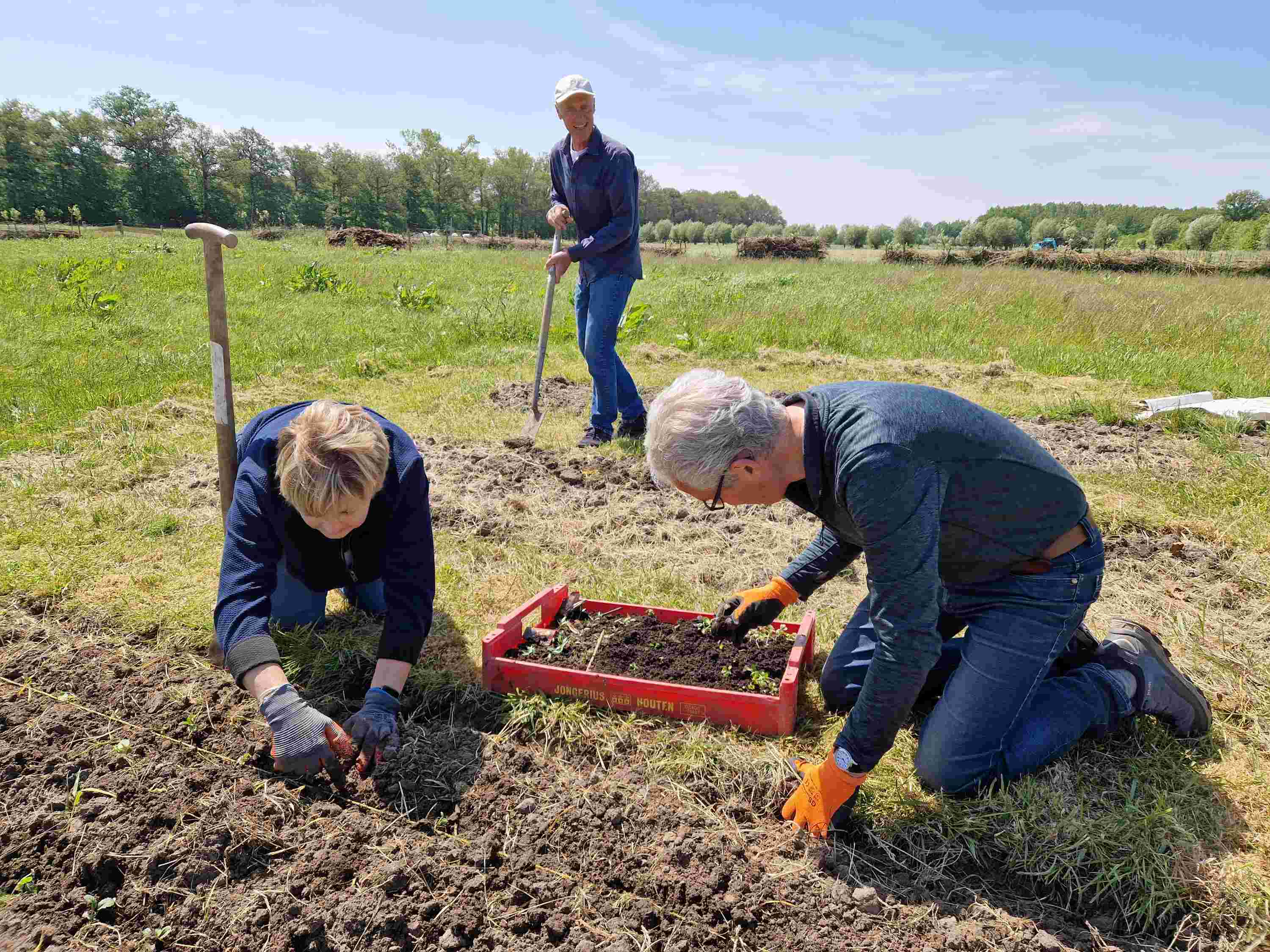 Meewerken op Natuurplaats Binnenbos