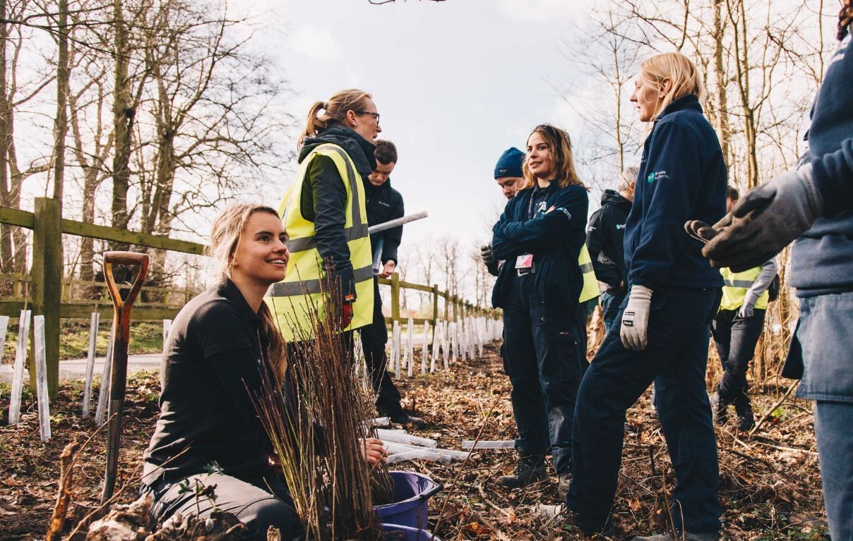 Broads Authority Volunteer Action Days - Decoy Carr, near Acle