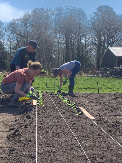 Kom jij meewerken in onze biologische CSA tuin?