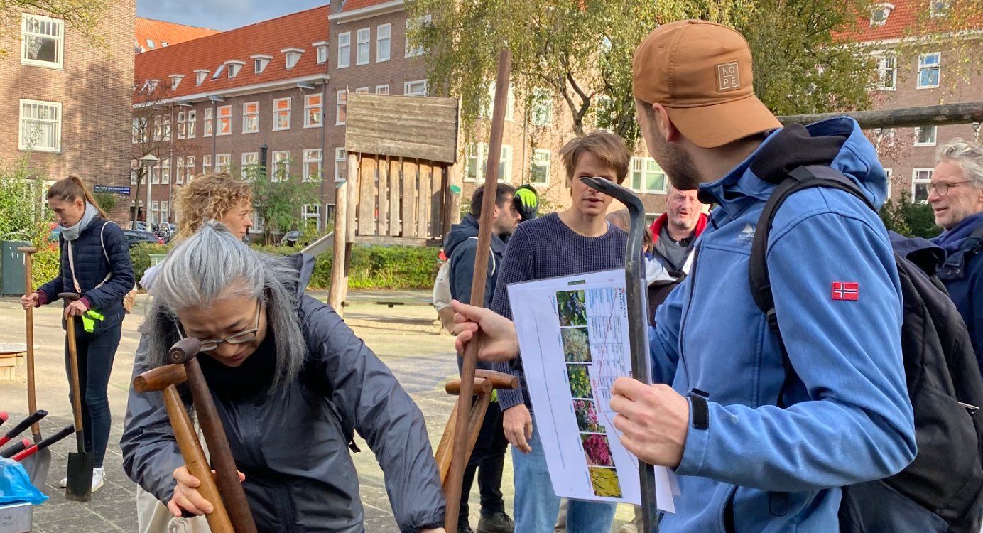 Greenday: help one of your neighbors in West