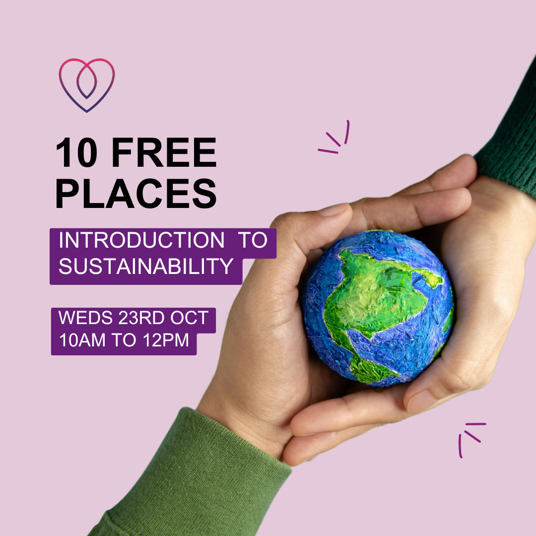 FREE: Introduction to Sustainability