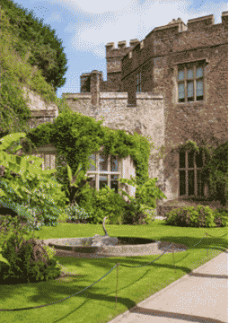 Courtesy Vehicle Driver