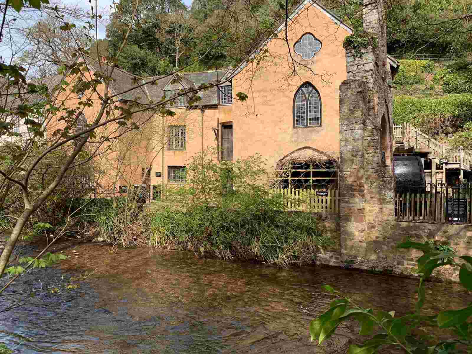 Property Maintenance Volunteer