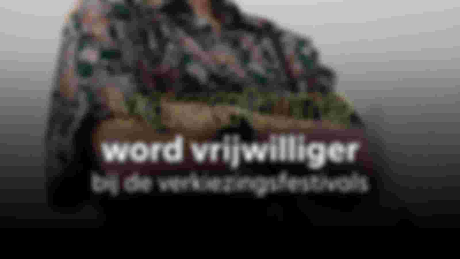 Volunteer Election Festivals