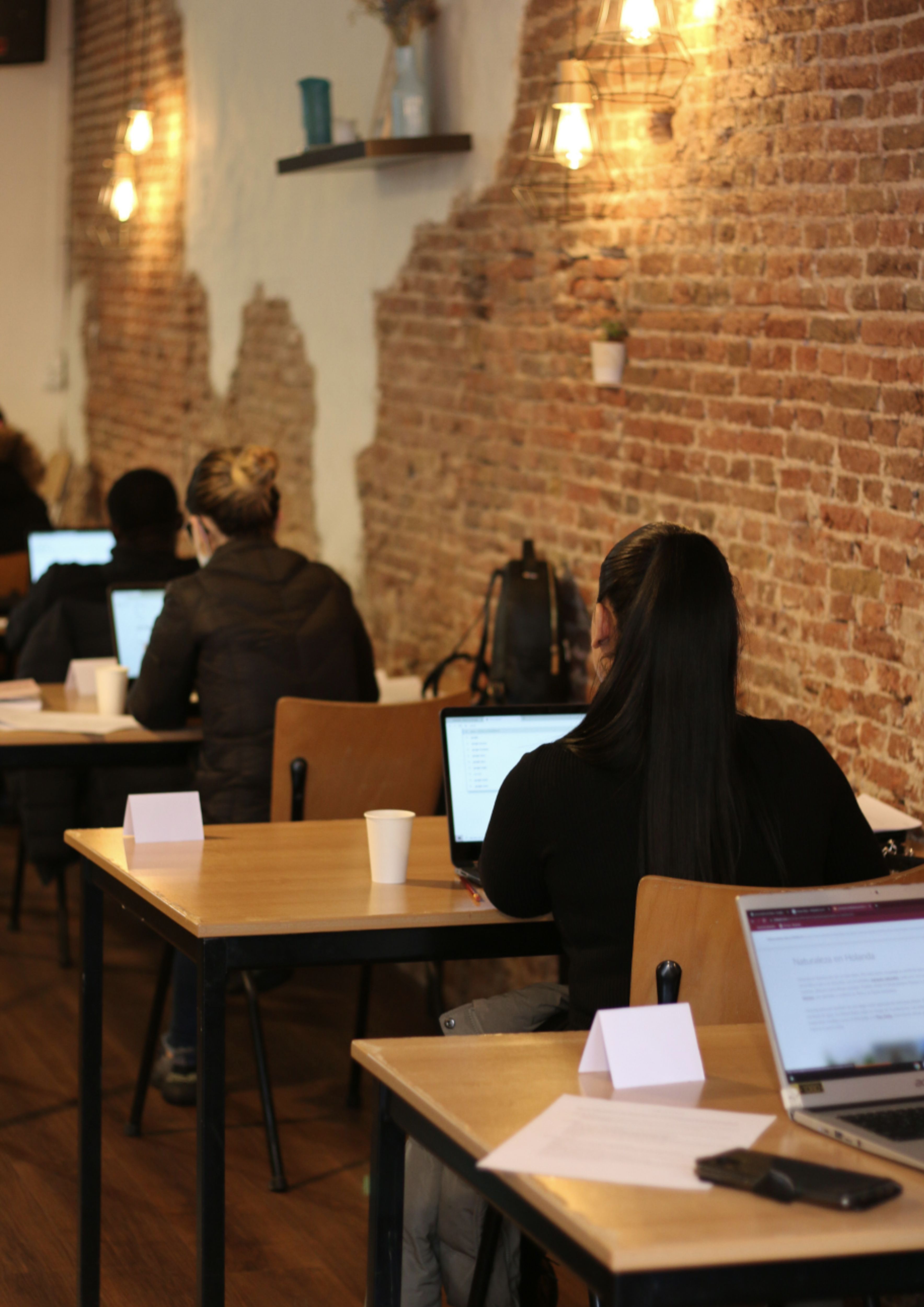 We are looking for a developer for our Excel and Powerpoint training!