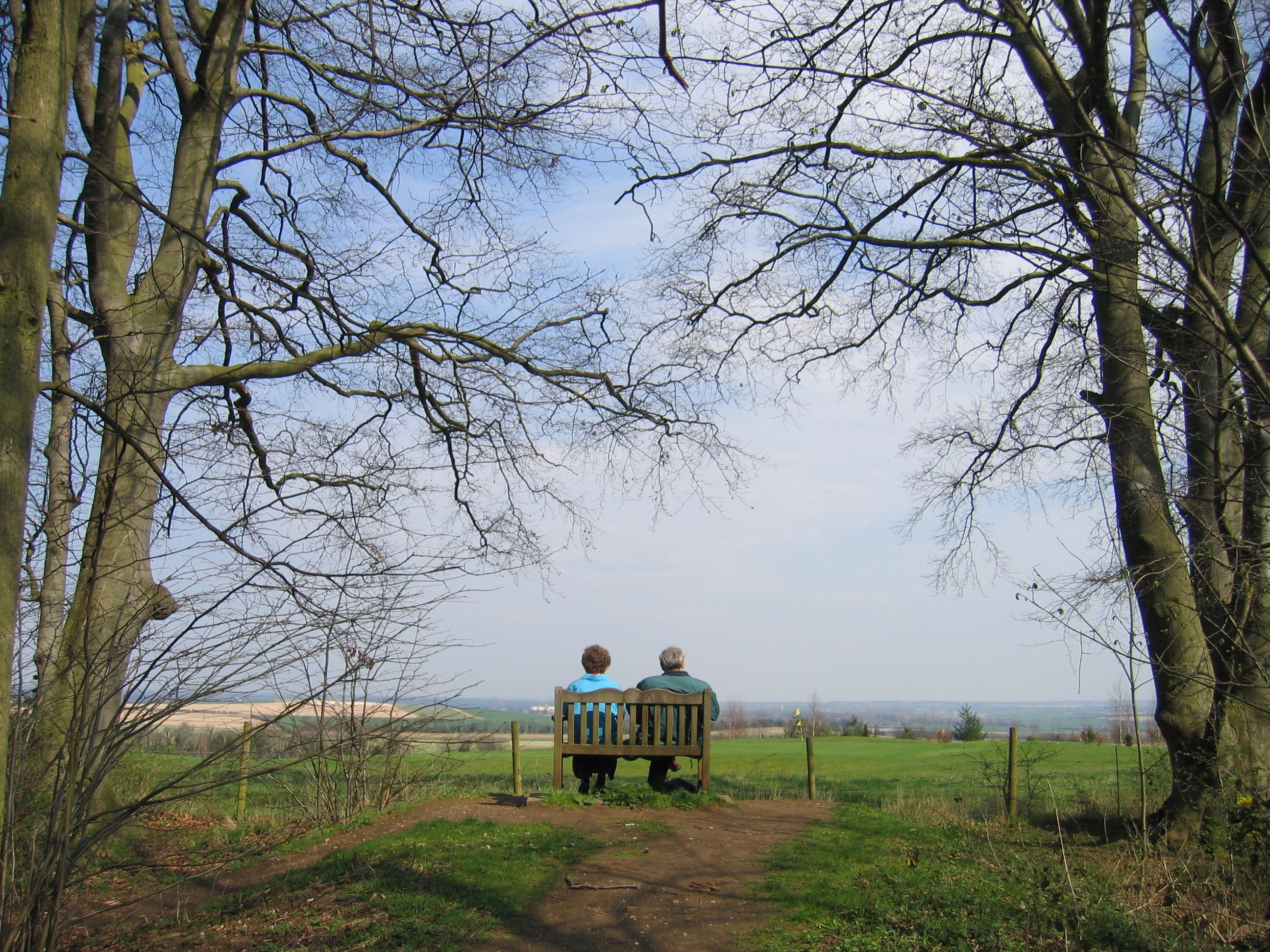 Planning Committee Volunteers