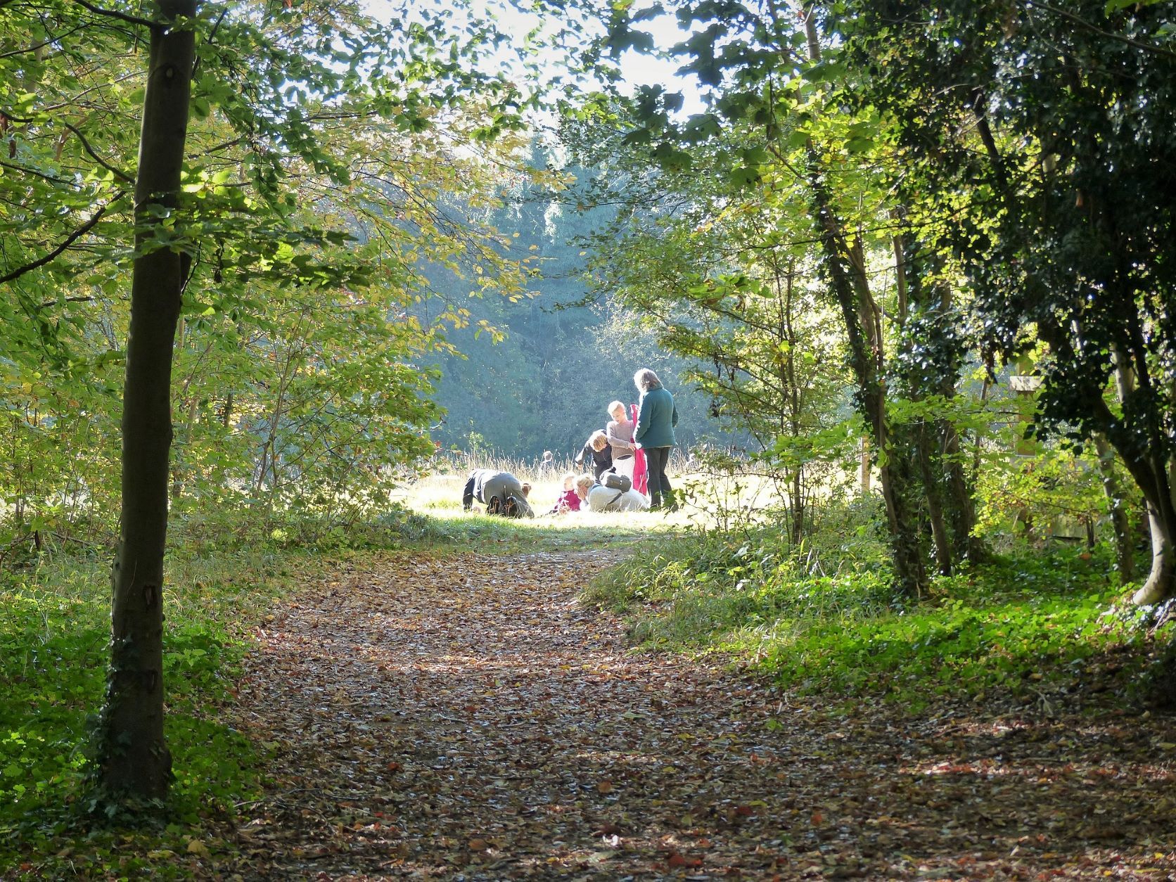 Wandlebury Welcomers