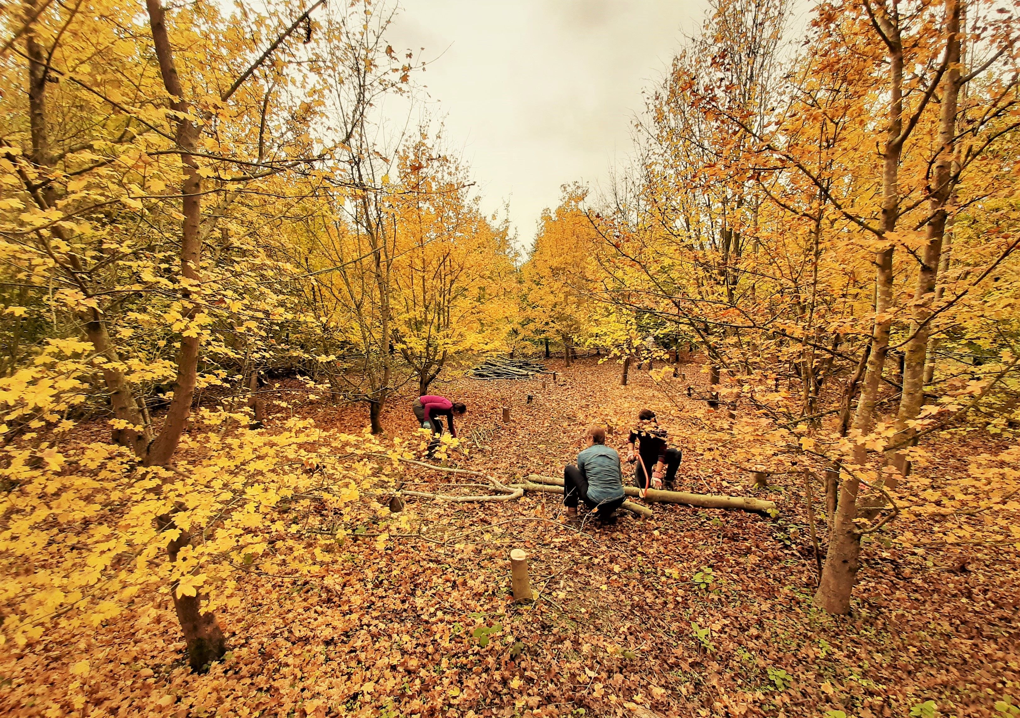 Volunteer Outdoor Work Parties at Coton Countryside Reserve