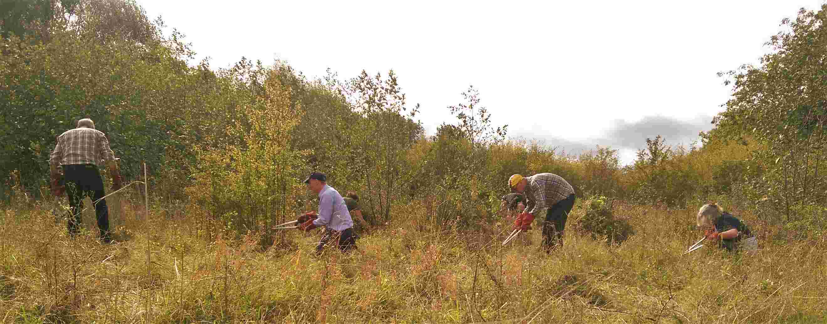 Volunteer Outdoor Work Party, Coton Countryside Reserve Tue 8 Oct,10.30am-1.30pm