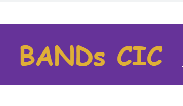 Assistant Facilitator