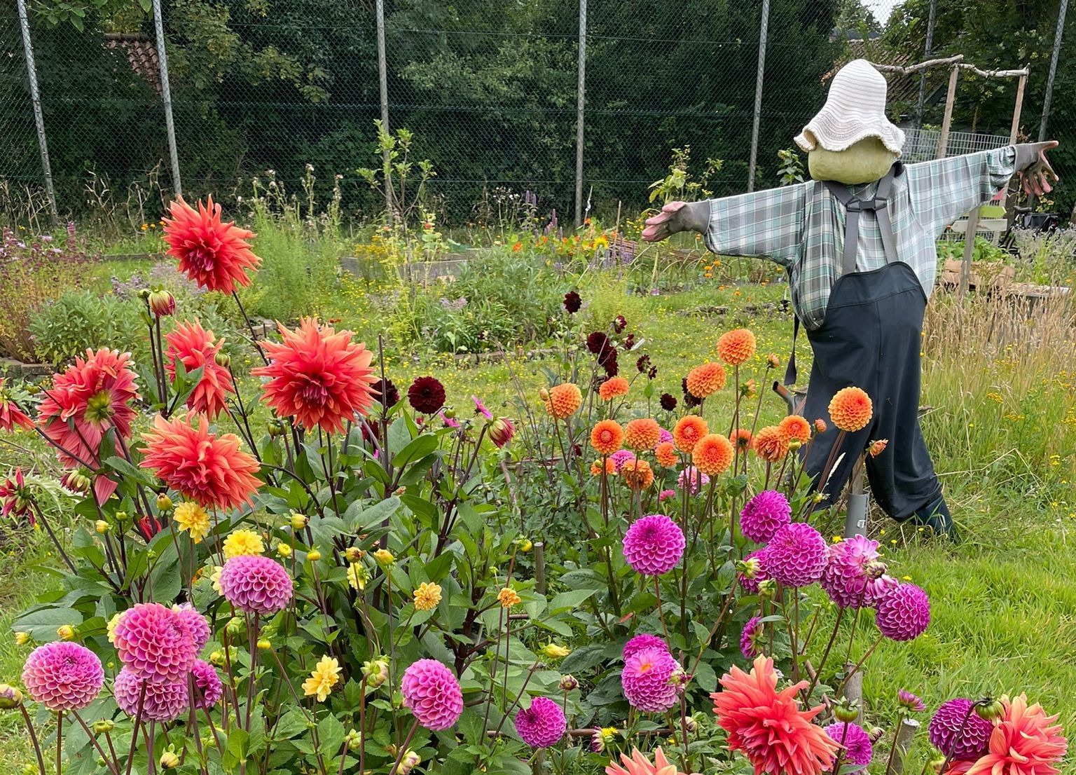 Creëren van een 'bloemenpluktuin'