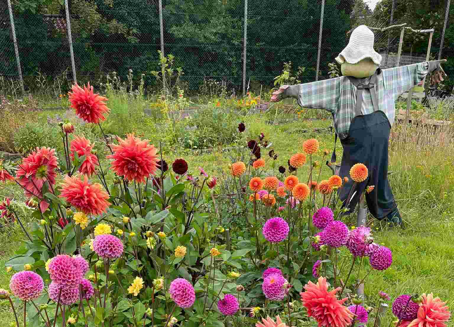 Creëren van een 'bloemenpluktuin'