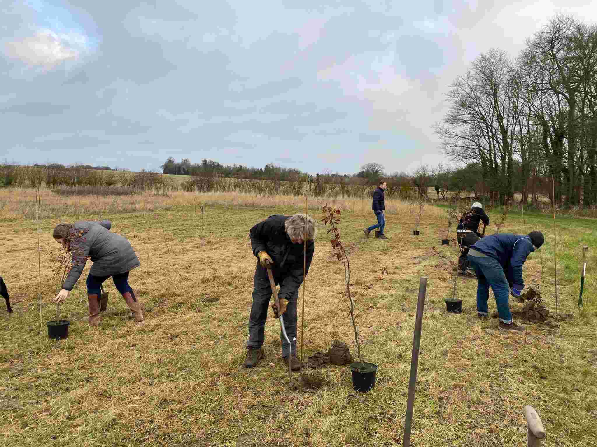 Liquid Skillz Racecourse Planting