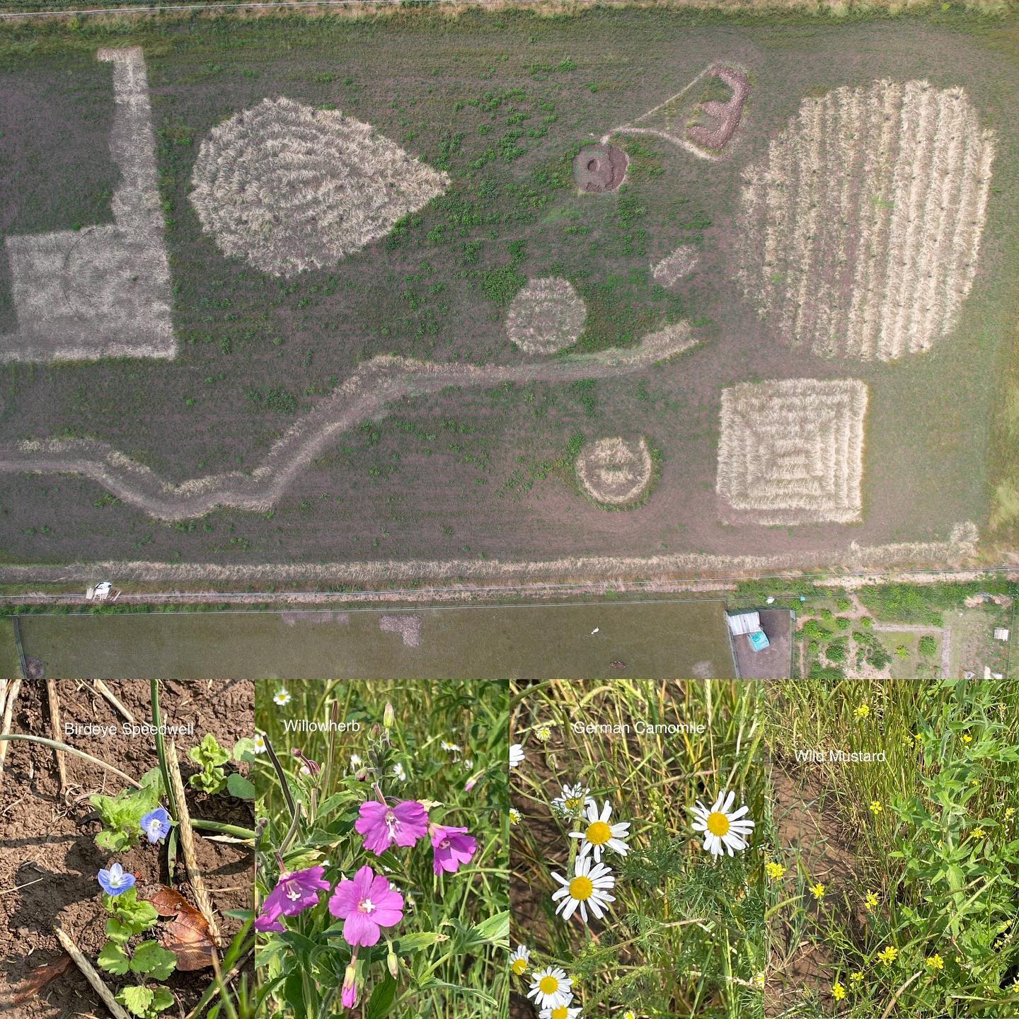 Tour of Orchard/Wassailing