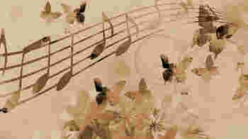 Breng muziek en herinneringen tot leven!