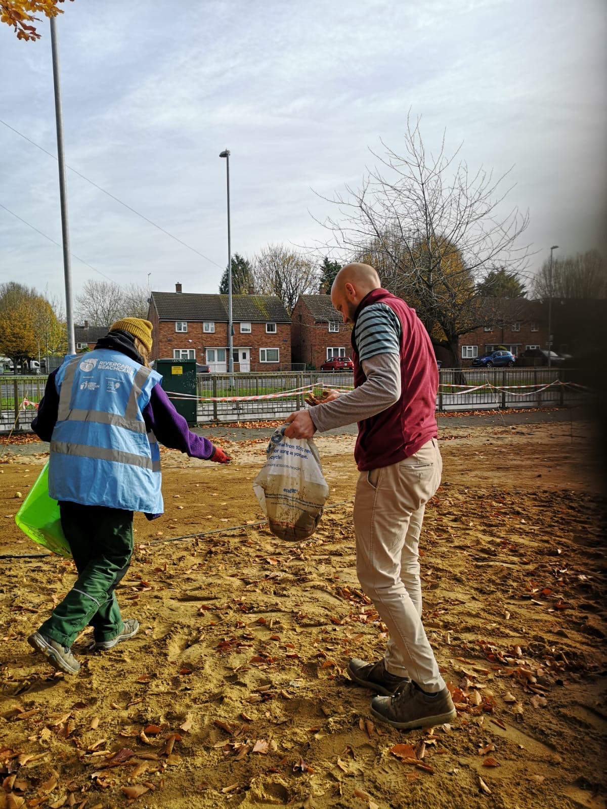 Planting a new pocket garden