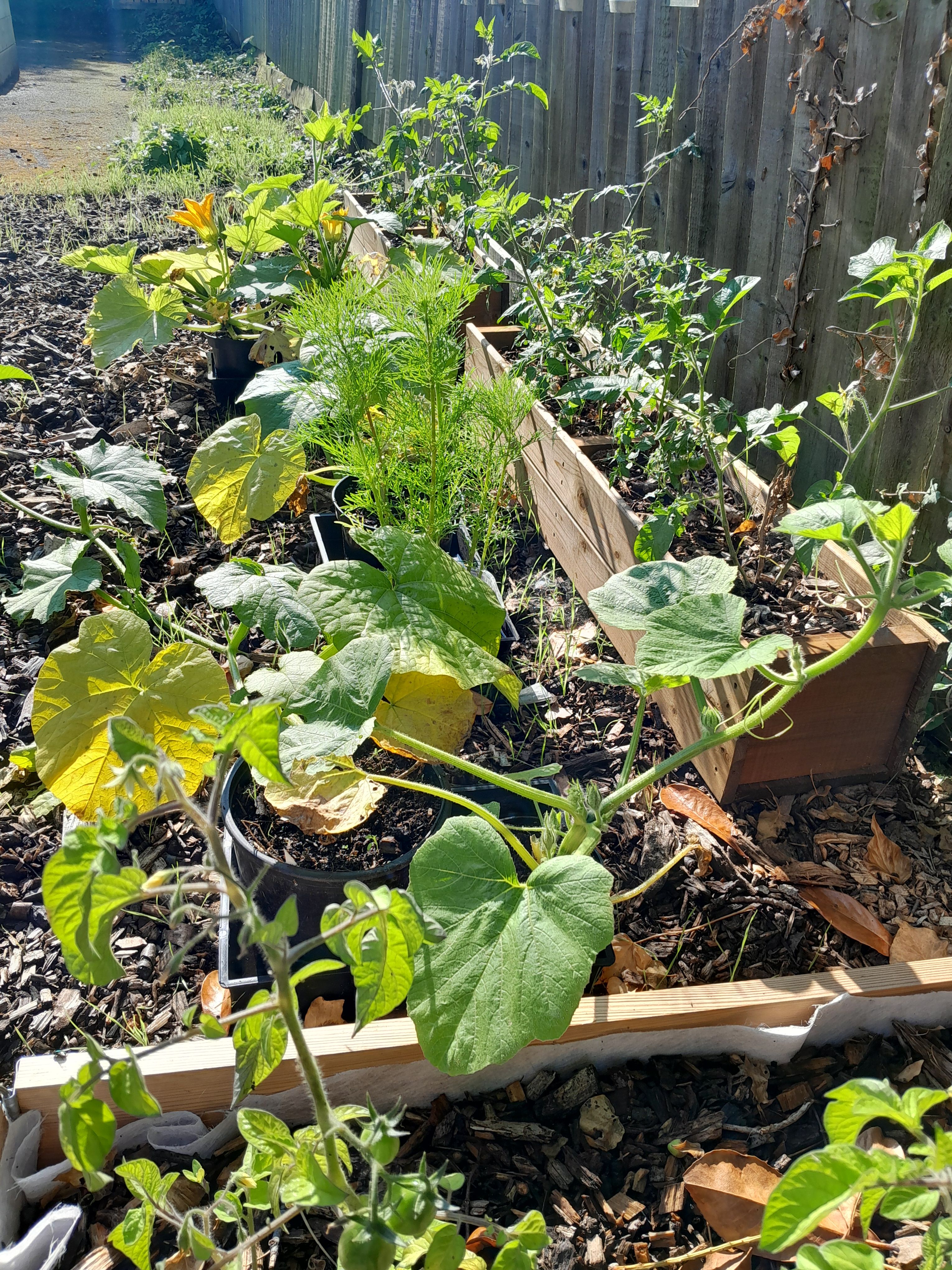 Community Centre Gardening