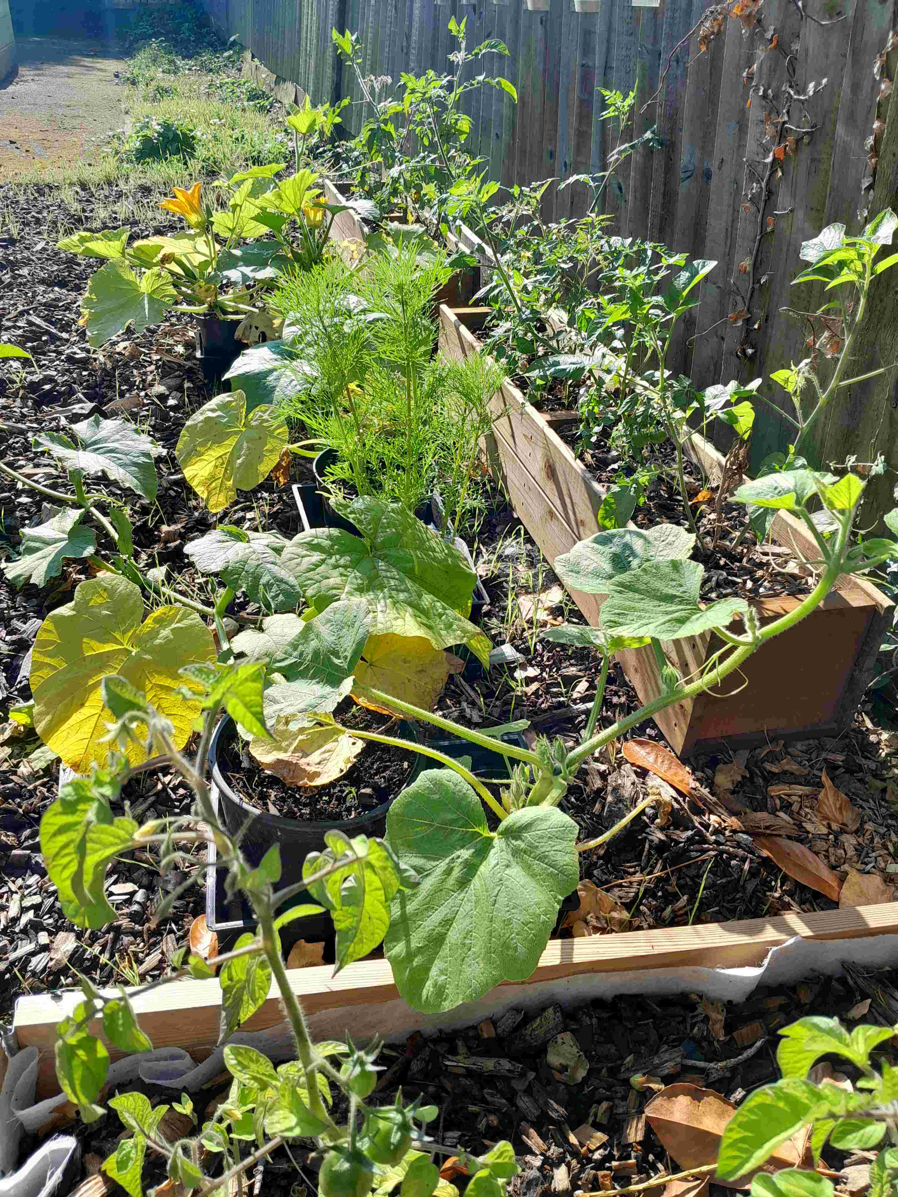 Community Centre Gardening