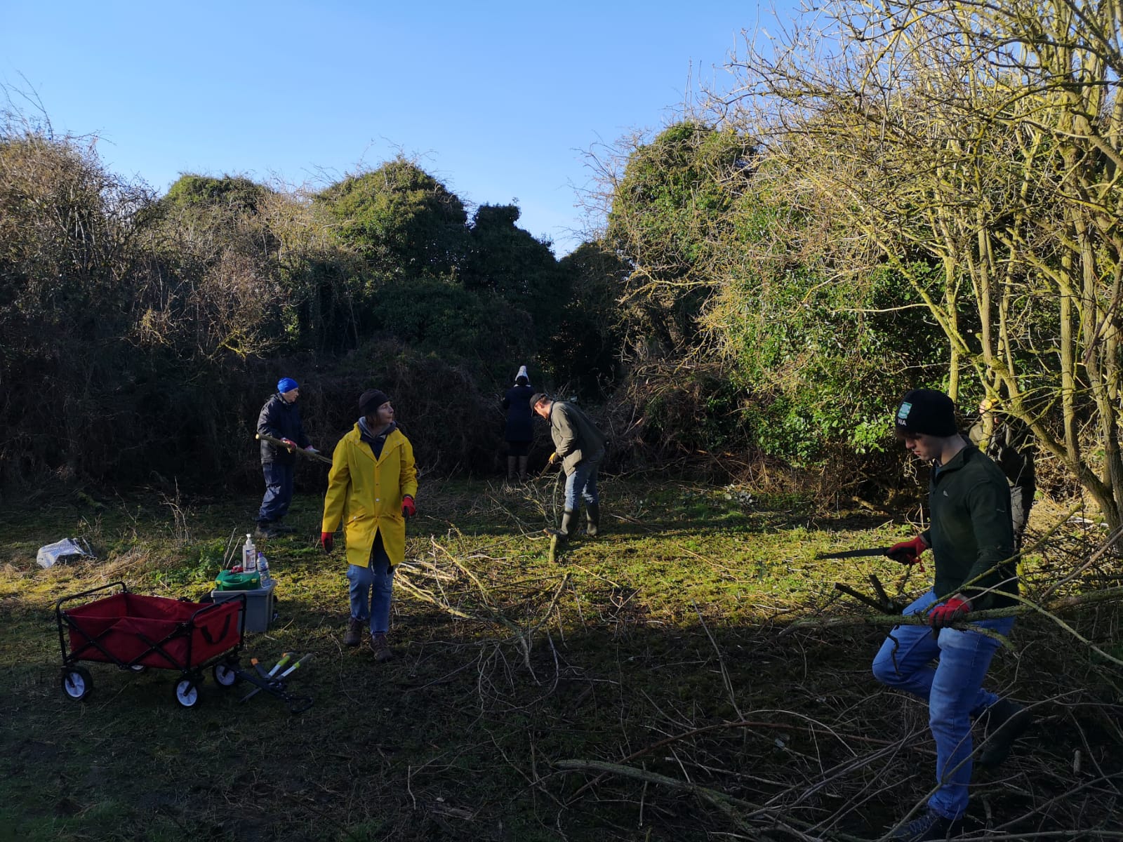 Conservation on Coldham's Brook