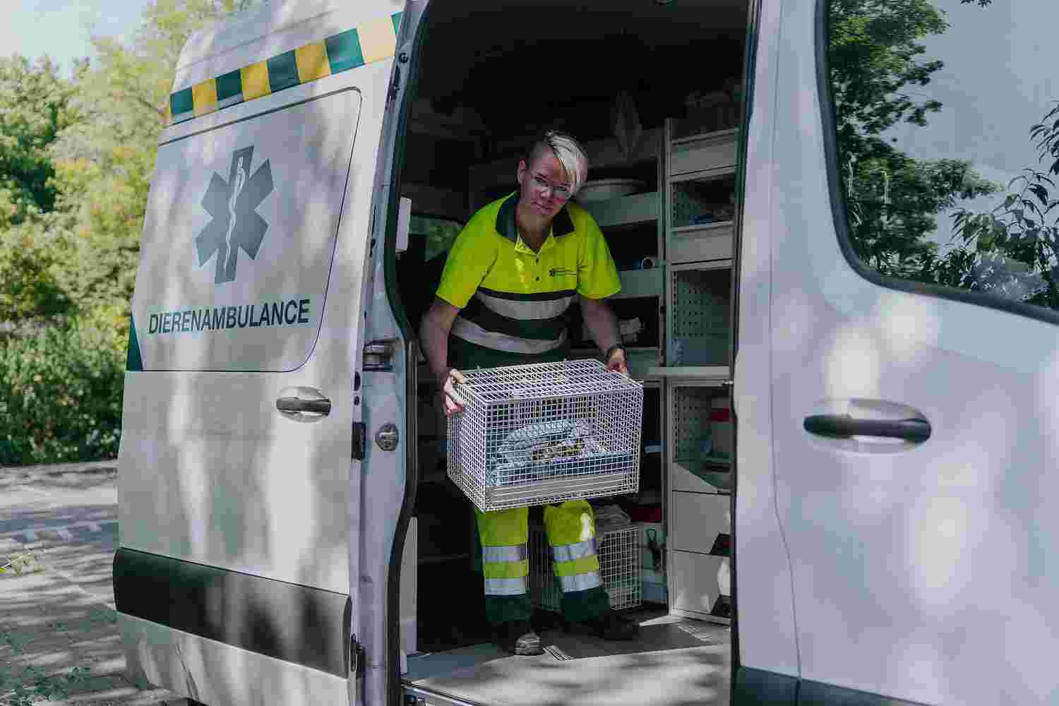 Gezocht: chauffeur/hulpverlener voor de avond/nacht en het weekend