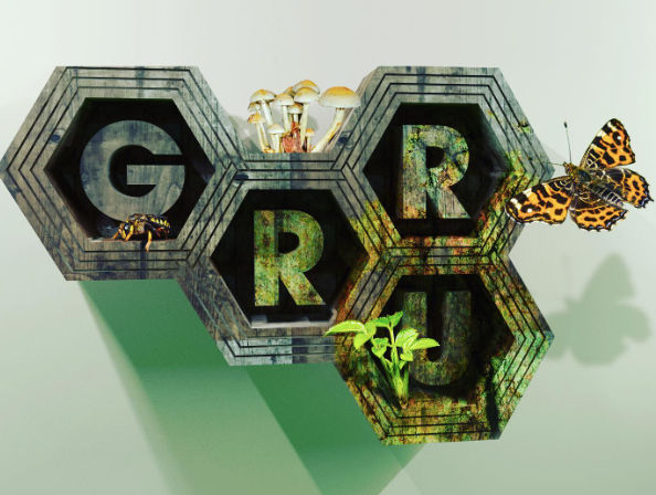 Rondleiding en uitleg over GRRU De Groene Ruijter