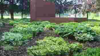 Tuinvrijwilliger | Drawing Centre Diepenheim