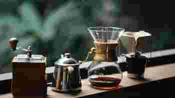 Gastvrouw / Gastheer in de avonduren in de Palmpit in Bussum