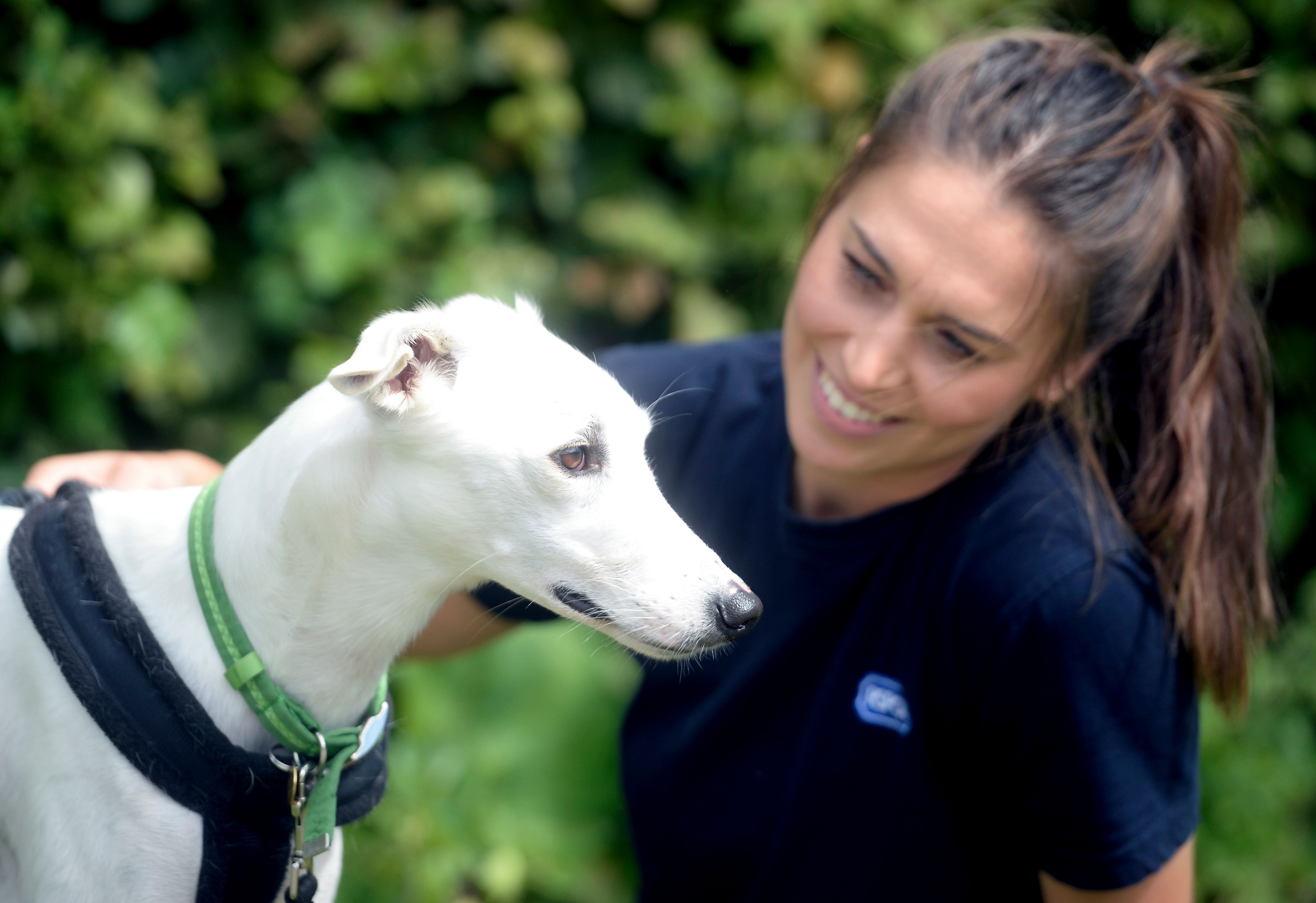 Fundraising Volunteer