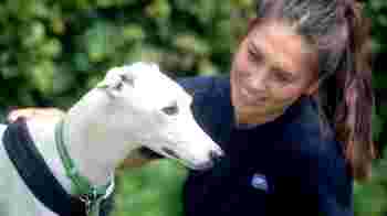 Fundraising Volunteer