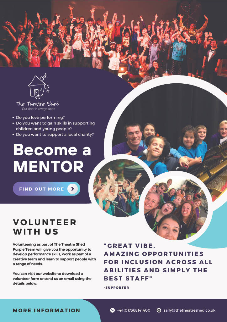 Volunteer Mentor