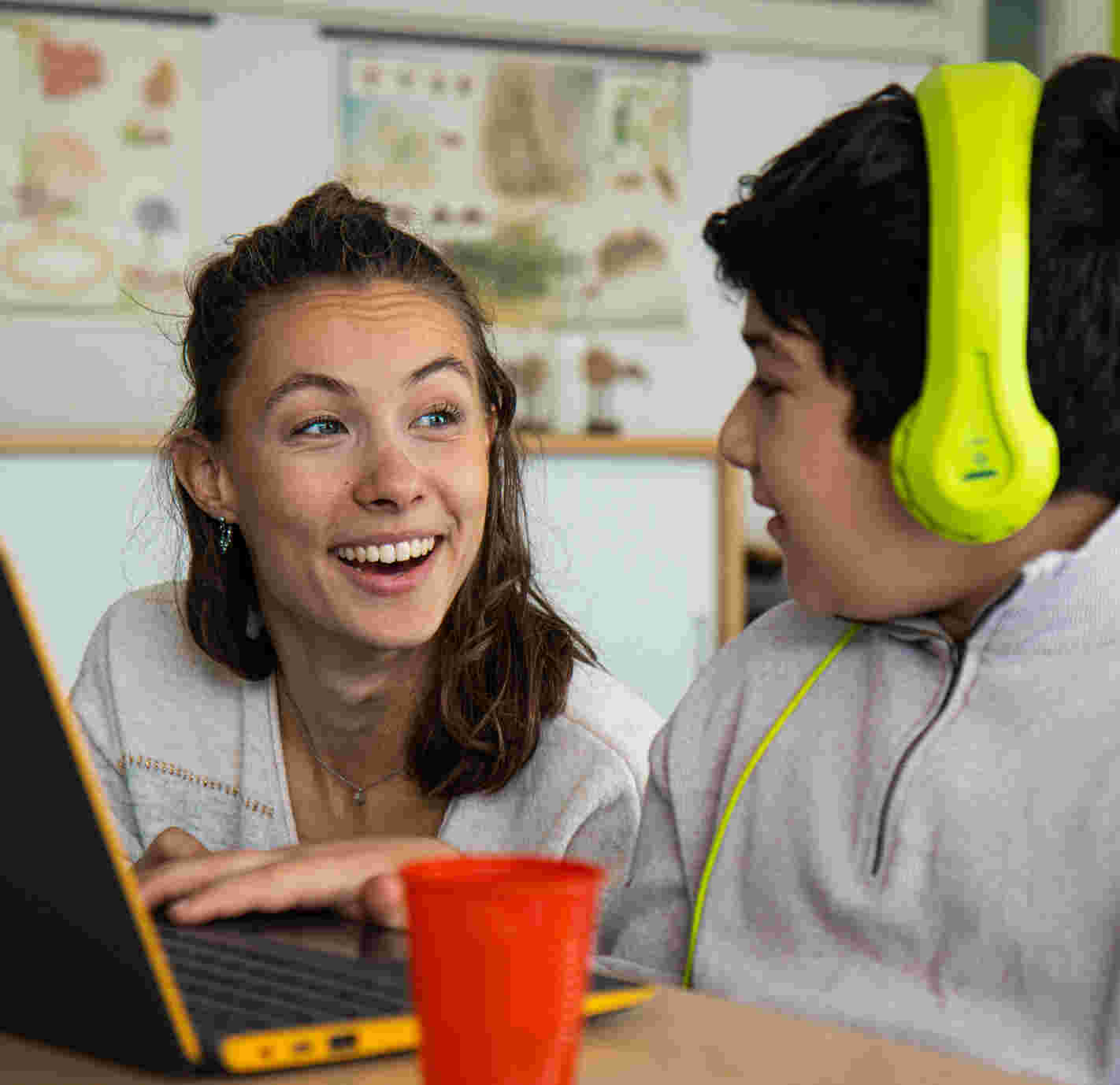 Onderwijsbegeleiding