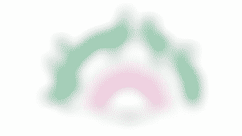 Various Roles at Our Day Centre for Older People