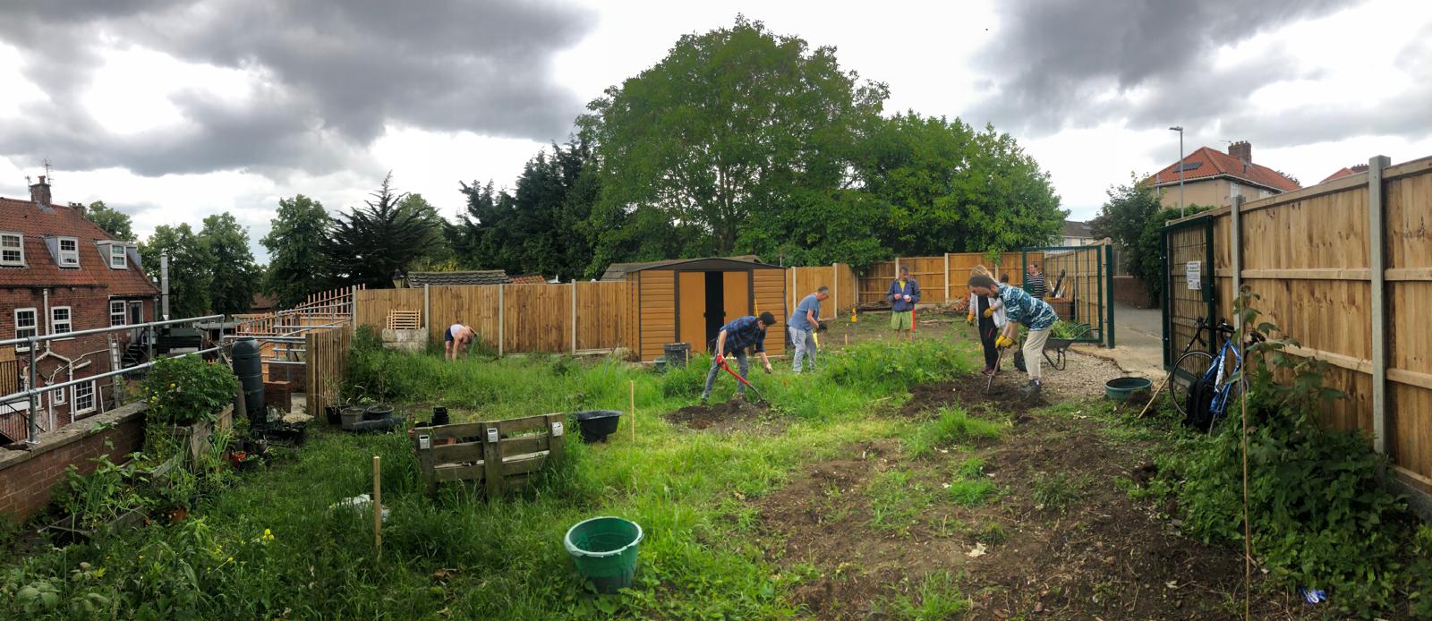 Creating a community garden in Mile Cross