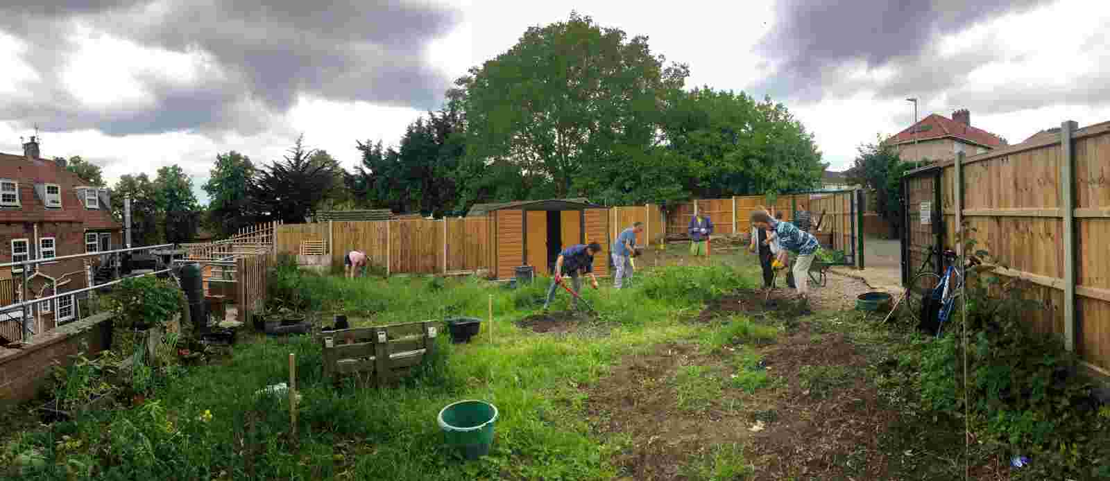 Creating a community garden in Mile Cross