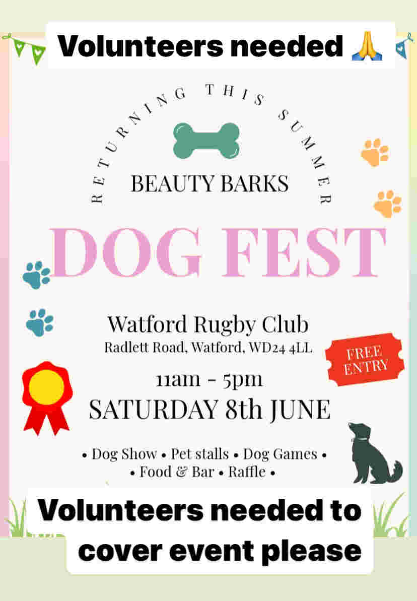Dog fest event