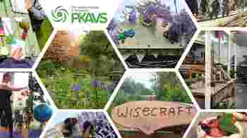 Joinery/Woodwork Assistant - Wisecraft