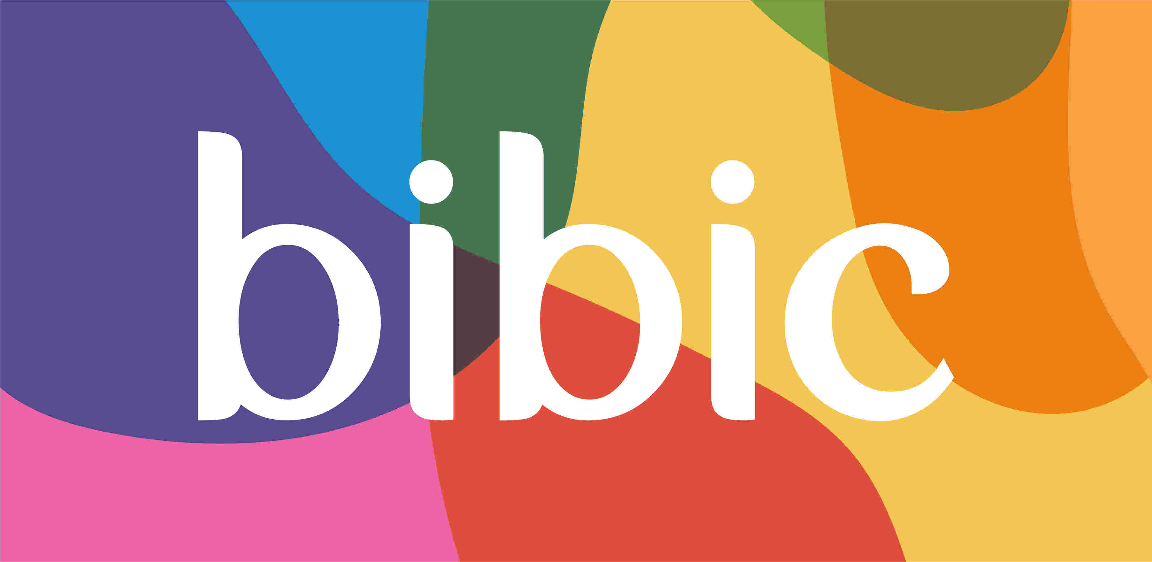 Fundraising and Marketing volunteer