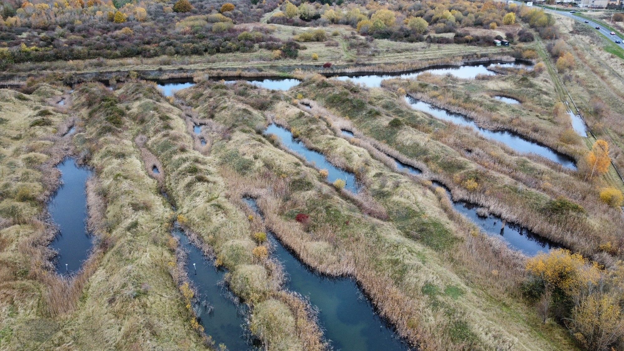 Habitat Maintenance- Hampton Nature Reserve
