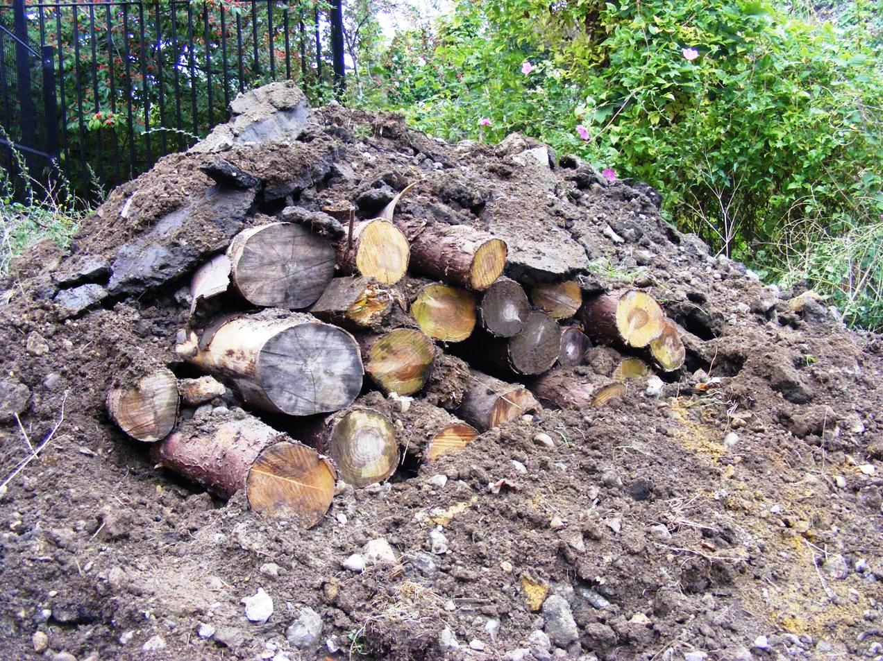 FREE COURSE: Habitat Creation for Amphibians and Reptiles