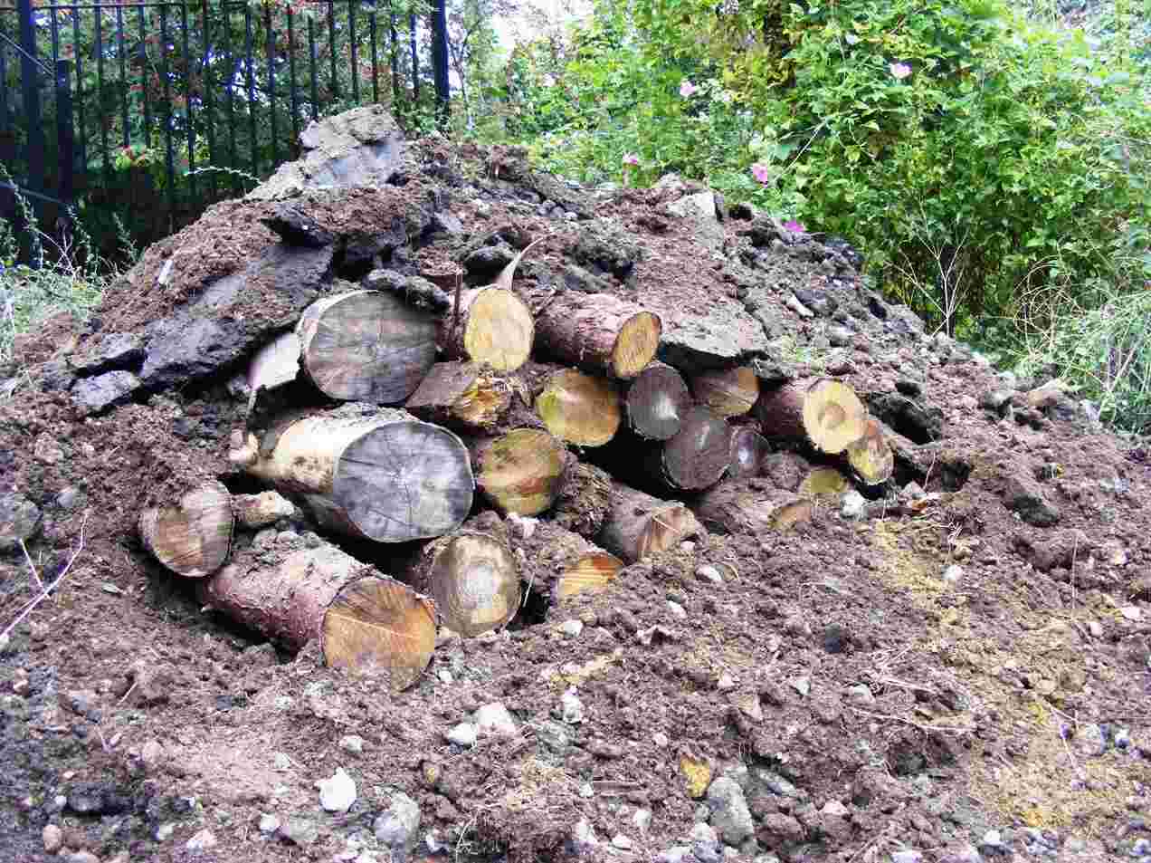 FREE COURSE: Habitat Creation for Amphibians and Reptiles