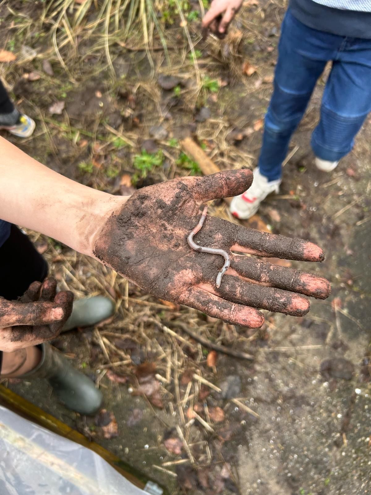 Beetje handig persoon met beetje groene vingers gezocht